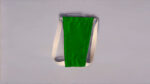 Green Solid Color T-String